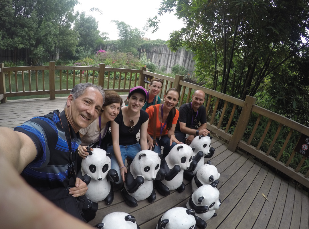 Chengdu - Centro De Cría De Pandas.