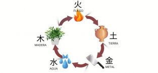 Los Cinco Elementos Del Feng Shui