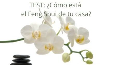 consulta a los expertos en feng shui