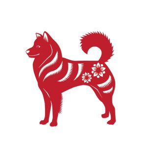 El Perro en el Horóscopo Chino